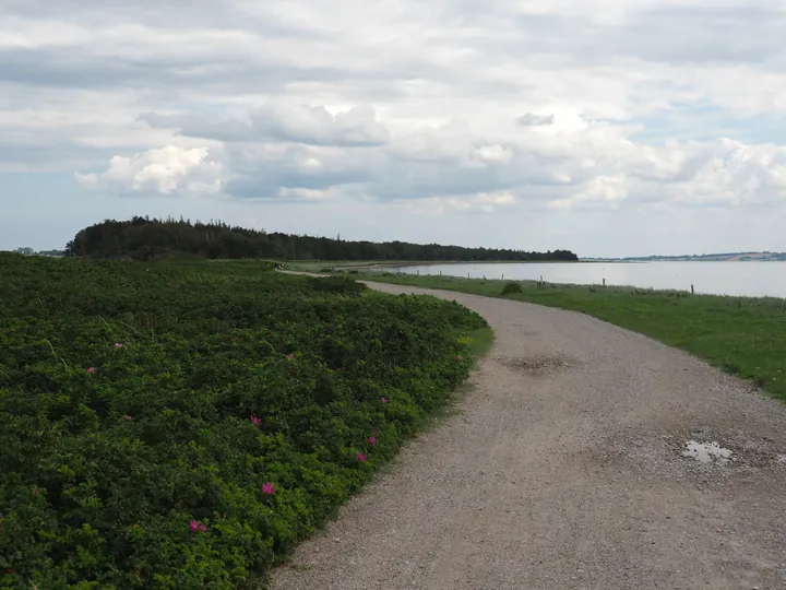 Halshuisene + Enebaerodde Beach (Denemarken)